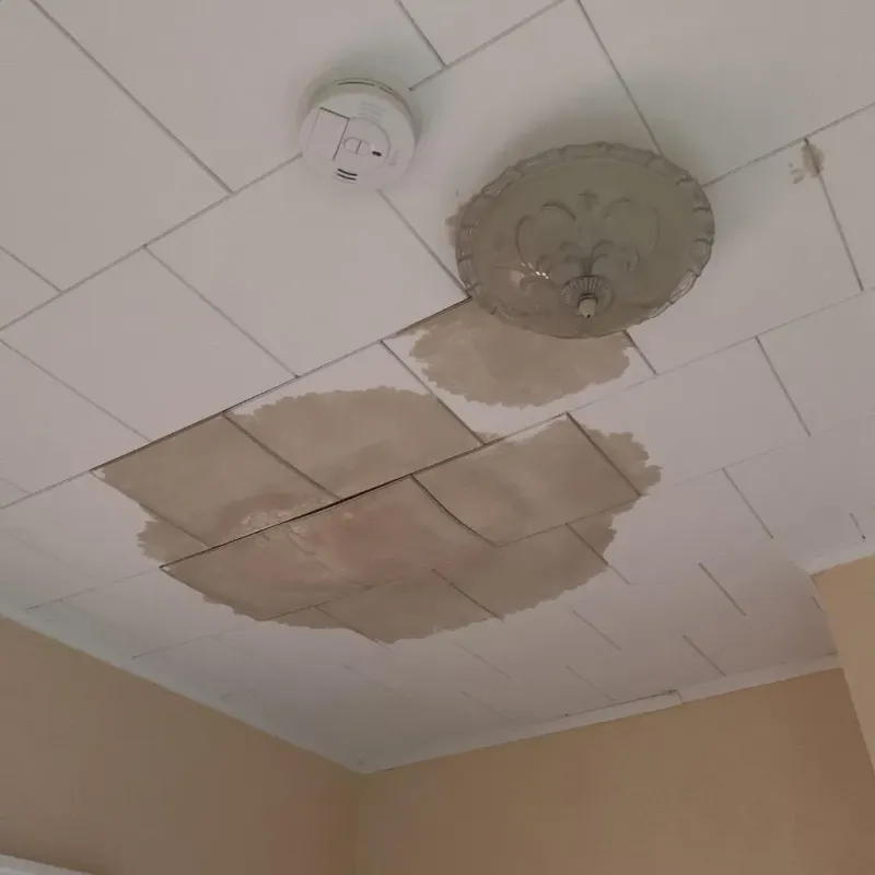 Ceiling Water Damage Repair in Rahway, NJ